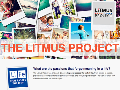 Litmus Project branding design feed landing page litmus marketing social social media uiux web design website