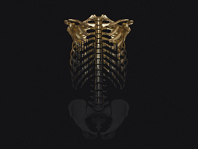 Carpe Noctem 3d billelis black engraved gold latin ornate pattern skull statue vector