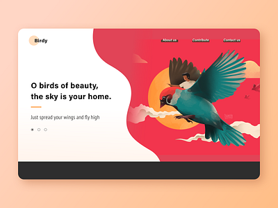 Birdy 2d bird character design concept illustraion landing page product design red ui user experience ux web webdesign website design