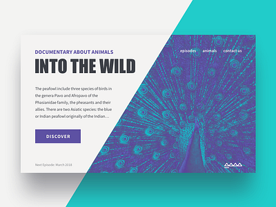 Into the Wild animals daily design documentary hero interface minimalism ui ux web