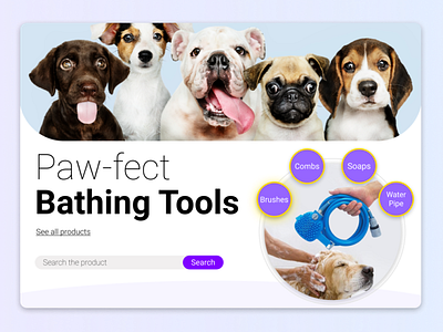 Paw-fect Landing page design graphic design typography ui ux