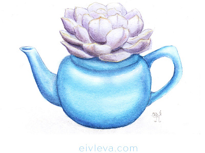 succulent in the kettle art drawing illustration kettle painting succulent watercolor