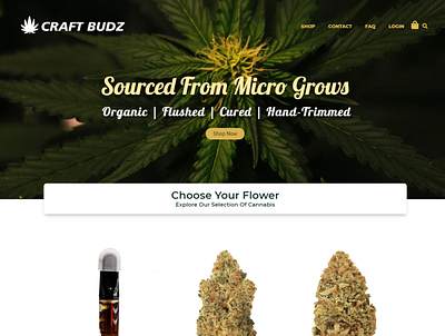 craftbudz.ca agency website business website design ecommerce website web design websites wordpress website