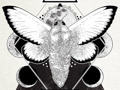Inktober 2017 01 Swift (Digital Redesign) digital 2d geometric art illustration inktober 2017 moon phases swift moth
