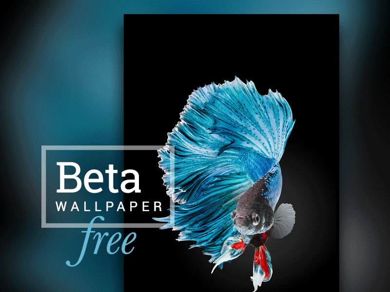 Beta: Wallpaper Free 9 beta fishies free ios wallpapers