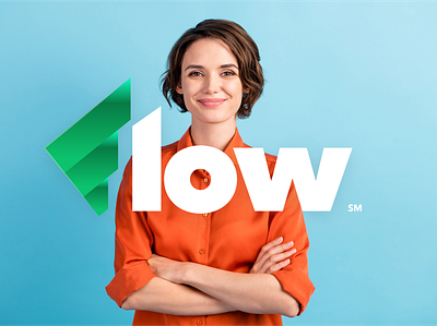 Flow Brand Identity branding design graphic design logo