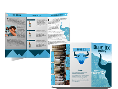 Brochure Design Mockup adobe blue branding brochuredesign colors design graphic design illustration logo logodesign mockup print design vector