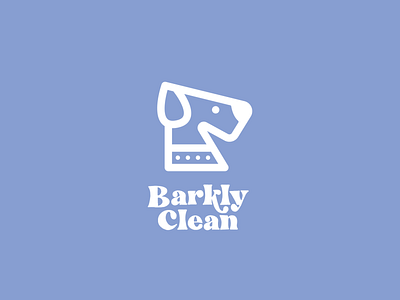 Barkly Clean branding design illustration logo typography vector