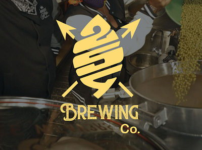 254 Brewing Co brand identity branding design graphic design illustration logo visual identity