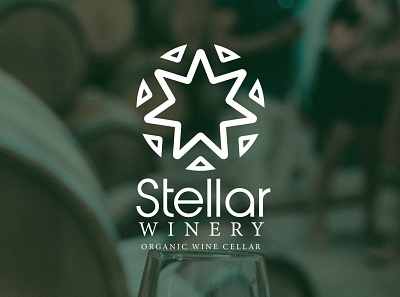 Stellar Wine Cellar brand identity branding design graphic design illustration logo vector visual identity