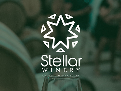 Stellar Wine Cellar