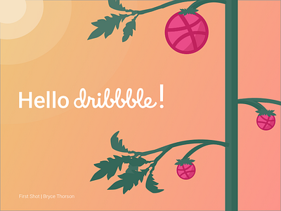 Dribbble Debut! debut fruit gradient illustration summer sunset tomato vector