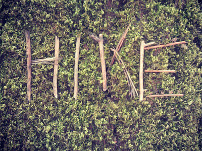 Hike hike lettering moss tree type