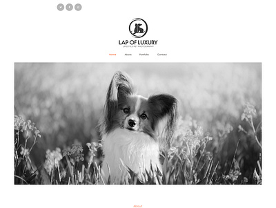 Lap of Luxury Lifestyle Pet Photography app branding design icon illustration logo typography ui ux vector