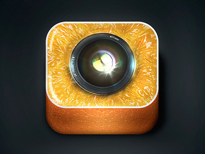icon for photographer icon orange organic photo