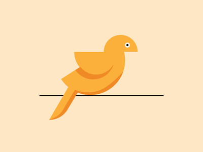 Semi Circle Bird By Shanesh Nepali On Dribbble