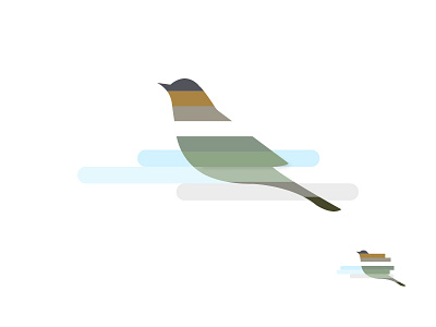 Bird bird colorbird creature sparrow