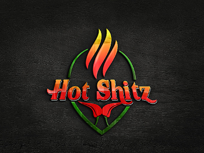 hot shitz logo graphic design logo