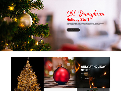 Old Brougham branding design user friendly websitedesign