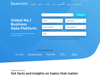 bamindex branding design user friendly websitedesign