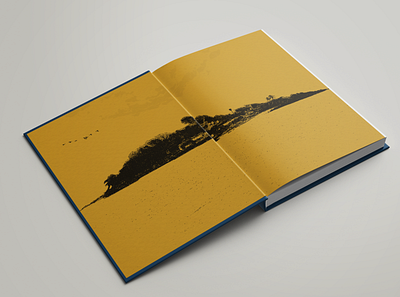 Robinson Crusoe Endpages, Deluxe Edition, Concept book design graphic design