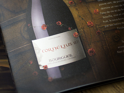 High quality catalog for Loire's region wines - Internal page art direction bottle branding catalog cover graphic design photography print design product design vineyard wine wine grower