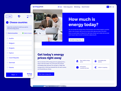 Energy prices big form blue clean complex form data energy prices form informativ pricing ux webdesign website