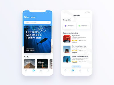 Discover a journey discover fly group journey popular search tour travel ui ux
