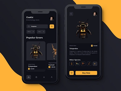 Entomology Store app application branding design entomology entomology store illustration typography ui ux