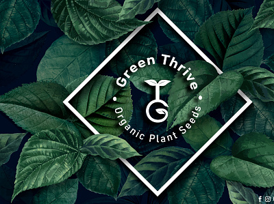 Green Thrive Logo art branding design designer graphic design green illustration logo logos plant plants ui ux vector