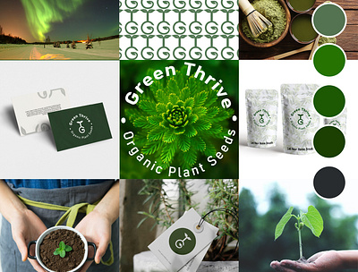 Branding brand brandidentity branding design designer graphic design green inspiration inspo logo logos plant vector