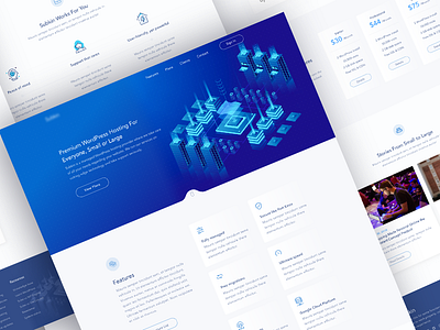 Hosting Hompage Design Concept agency domain homepage hosting illustration isometric landing landing page minimal startup web interface website