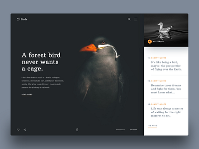 Birds Header Exploration by Subash Chandra on Dribbble
