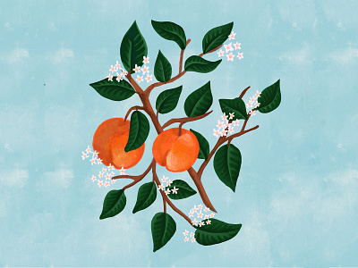 Grandma's Garden fruit illustration peach peaches procreate