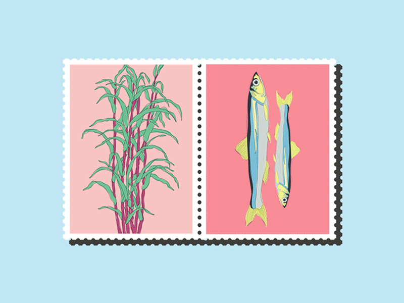 Things inspired me after animation effect fish illustration stamp sugarcane