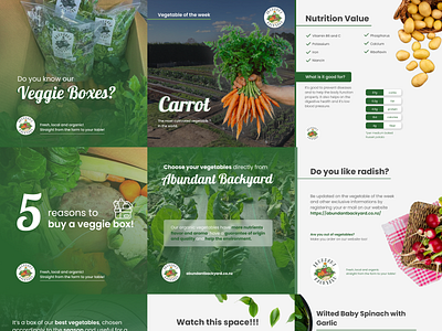 Social Media - Farm ads design facebook farm figma food google graphic design instagram plant ui veggie