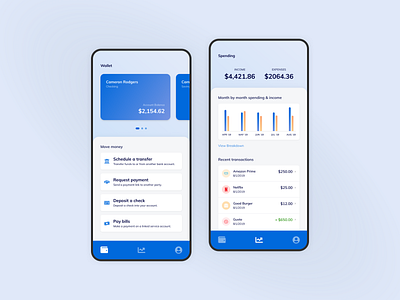 Wallet & Budgeting App Concept