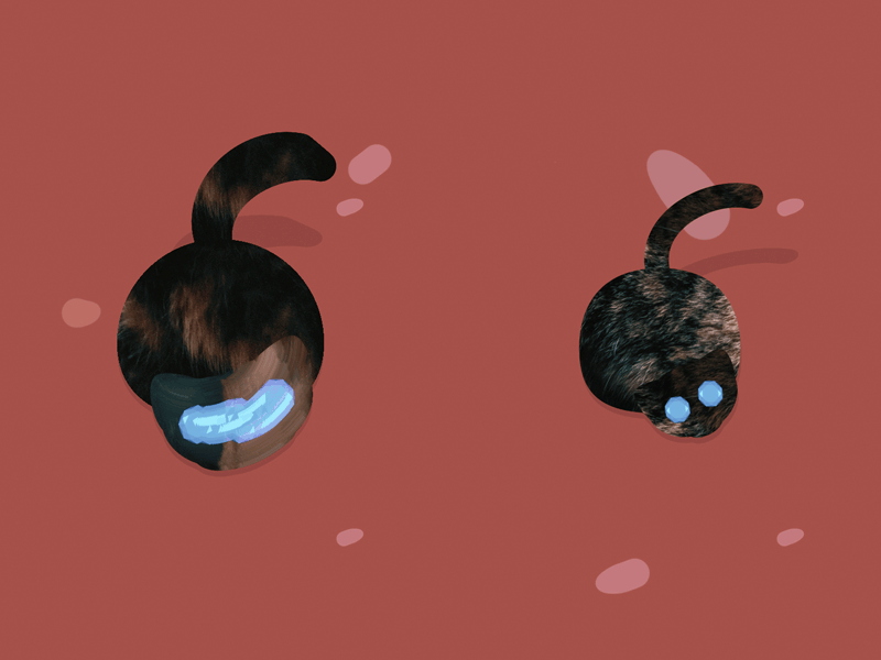 π«β¨ππππβ¨π« diamonds after effects hypnotized cats motion graphics motion animation