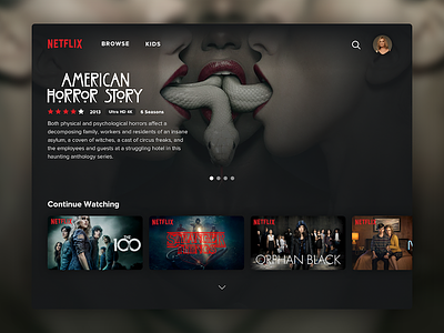 Netflix TV Redesign Concept