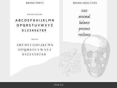 STOA - Brand Fonts & Brand Adjectives brand fonts brand identity branding canva design fonts graphic design mood board sans ui