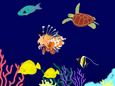 Arrecife mexicano brush coral environment fish illustration life photoshop reef sea turtle water