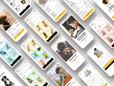 Pet adoption app - Pet Store UI concept adoption pet petstore store ui ux