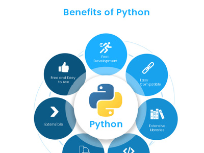 Hire Python Development Services by Extern Labs Inc on Dribbble