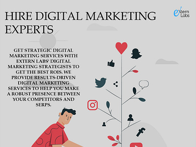 Hire Digital Marketing Expert digital marketing service
