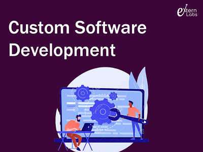 Custom Software Development custom software development