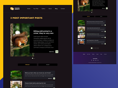 Blog Secondary Page For Local Attraction blog clean dark theme website image introduction modern nature text typography ui ux website design