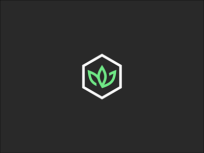 Growpacker branding cbd design graphic design logo vector