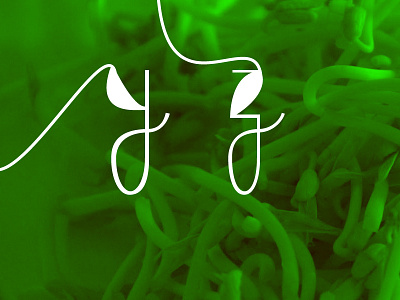 Brote typo bean sprout typography