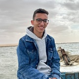 Mohamed Gomaa