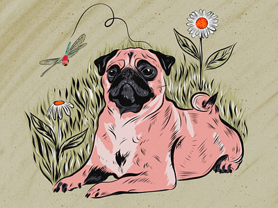 Carl the Pug graphic design illustration vector